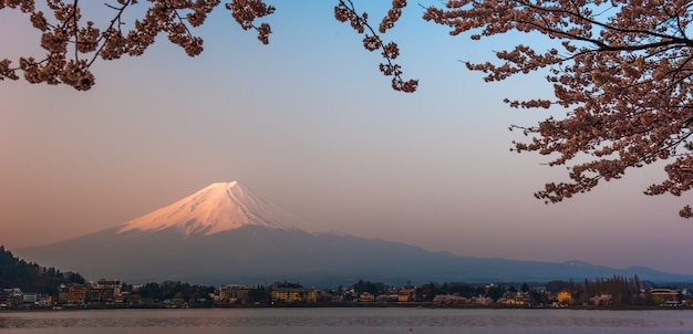 Zdjęcie wspina się fuji widok od kawaguchiko jeziora, japonia z czereśniowym okwitnięciem