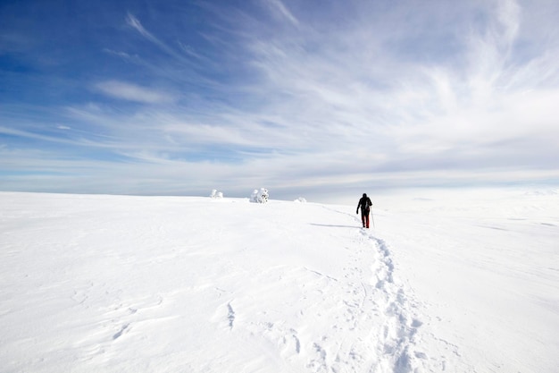 Wspinacz chodzący po śniegu