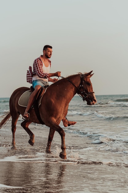 Współczesny mężczyzna w letnich ubraniach lubi jeździć konno po pięknej piaszczystej plaży o zachodzie słońca. Selektywne skupienie. Wysokiej jakości zdjęcie