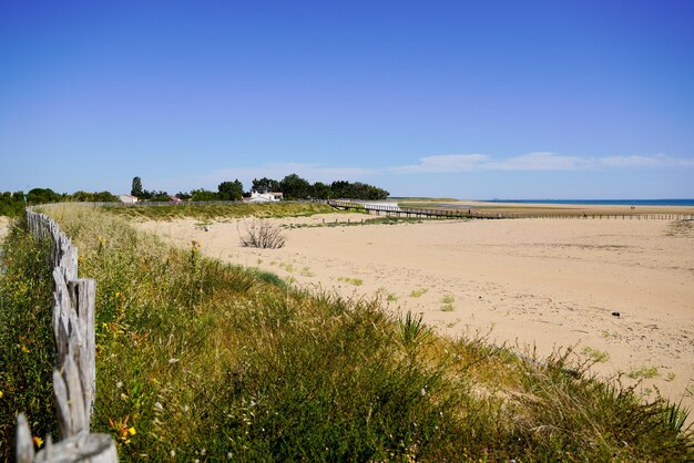 Wybrzeże Atlantyku na plaży Jard-sur-Mer z widokiem na morze i piaszczysty horyzont z Francji