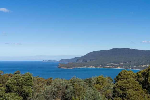 wybrzeże australijskie w Tasmanii szelf skalny przy morzu w Australii