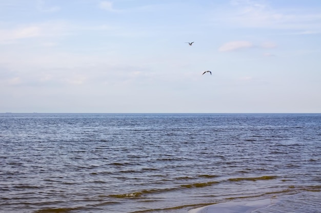 Wybrzeże Morza Bałtyckiego w wietrzny wiosenny dzień Jurmala Łotwa
