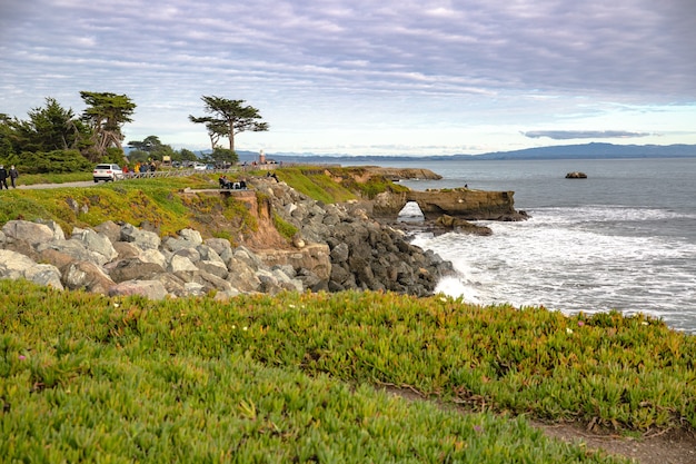 Wybrzeże Oceanu Spokojnego w mieście Monterey w Kalifornii