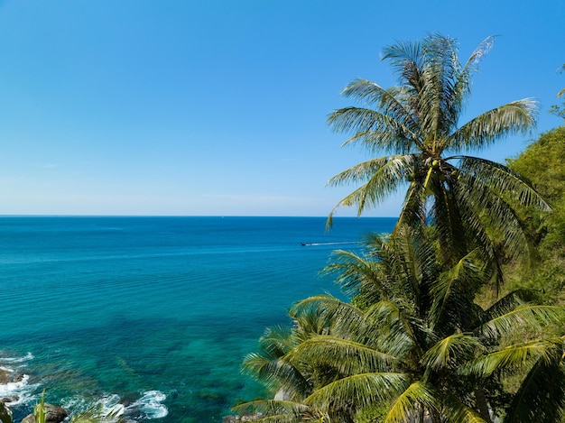 Wybrzeże oceanu z palmami kokosowymi rama natura tle Piękna rama graniczna natura Niesamowity widok na wybrzeże tła