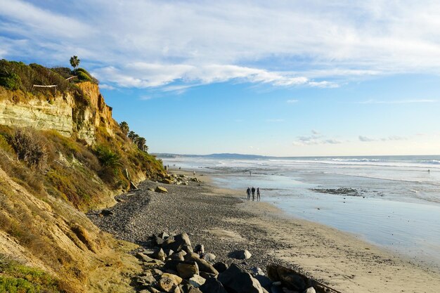 Wybrzeże Pacyfiku z klifem z żółtego piaskowca w San Diego