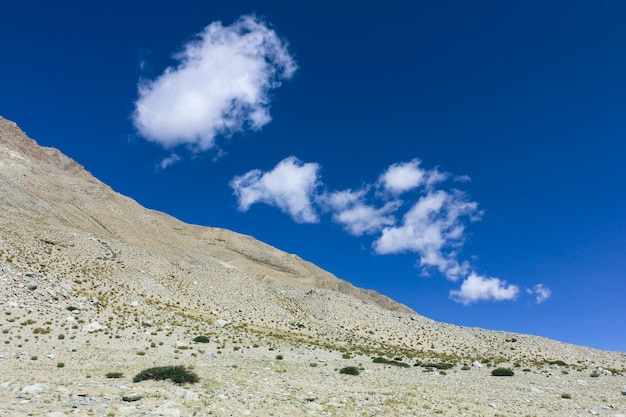 Zdjęcie wycieczka do ladakh leh ladakh indie