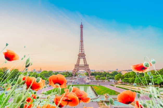 Wycieczka Eiffel I Z Trocadero Paris?