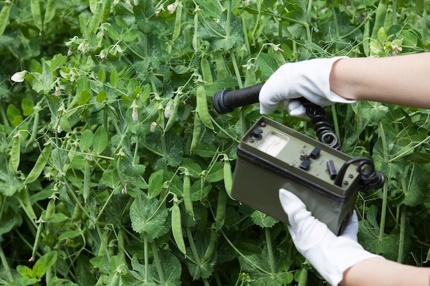 Zdjęcie wycięte zdjęcie osoby używającej sprzętu podczas badania roślin na polu