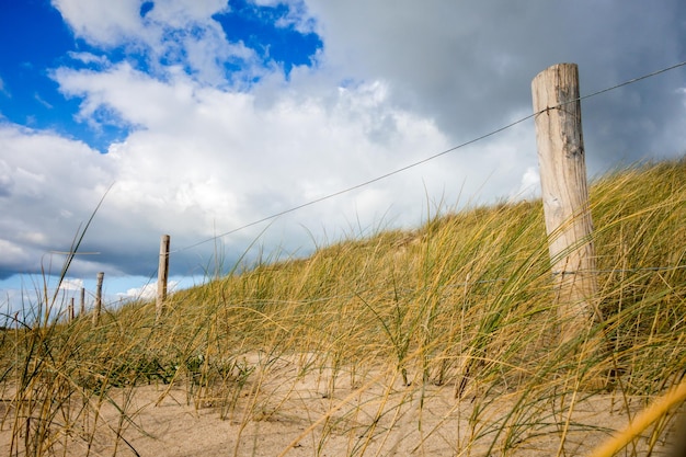 Wydma I Płot Na Plaży, Wyspa Re, Francja. Pochmurne Tło