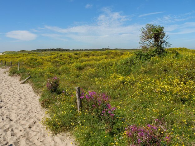 wydmy i plaża Langeoog