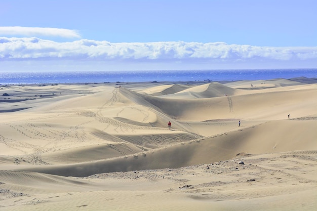 Wydmy Maspalomas Na Gran Canarii Wyspy Kanaryjskie Hiszpania