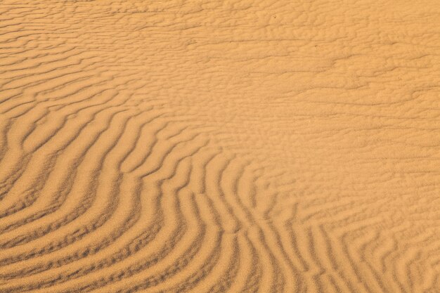 Zdjęcie wydmy mesquite flat na pustyni death valley desert - kalifornia