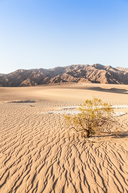 Wydmy Mesquite Flat na pustyni Death Valley Desert - Kalifornia