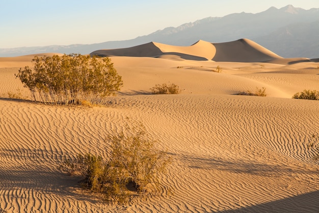 Wydmy Mesquite Flat na pustyni Death Valley Desert - Kalifornia