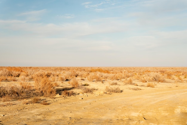Wydmy na pustyni Kyzyłkum Kazachstan Rozległa pustynia Azji Środkowej
