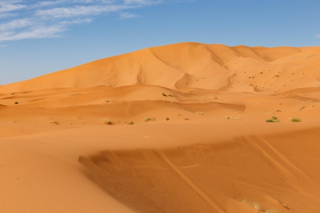 wydmy na saharze. Erg Chebbi Maroko