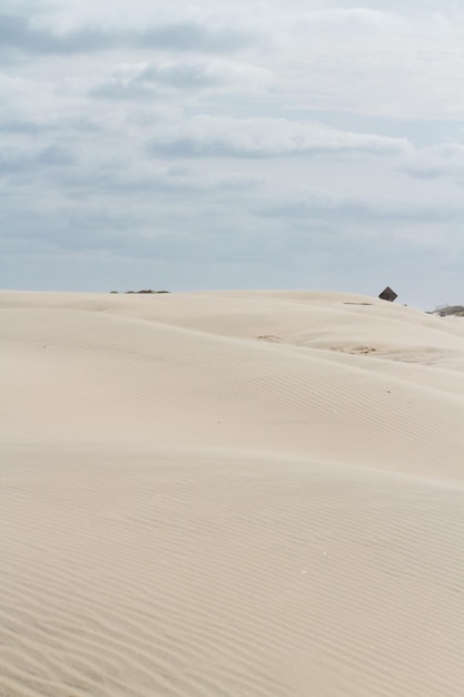 Zdjęcie wydmy na wyspie south padre w teksasie.