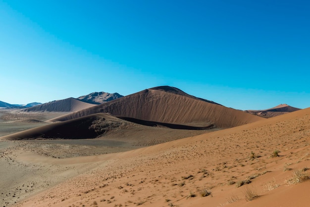 Wydmy pustyni są pokryte piaskiem.