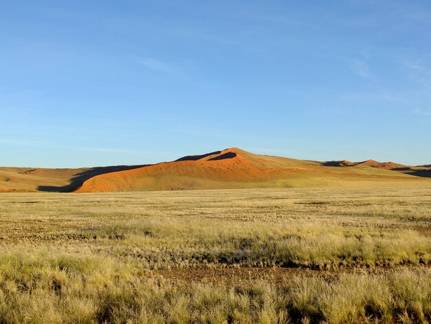 Wydmy w Namib pustyni, Sossusvlei, Namibia