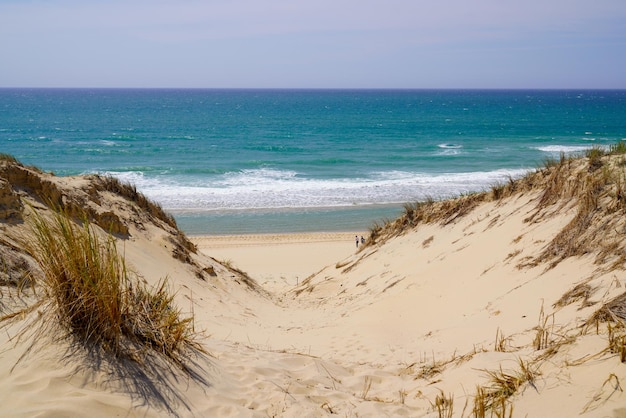 Wydmy z dostępem do plaży w wiosce Le porge w pobliżu Lacanau we Francji