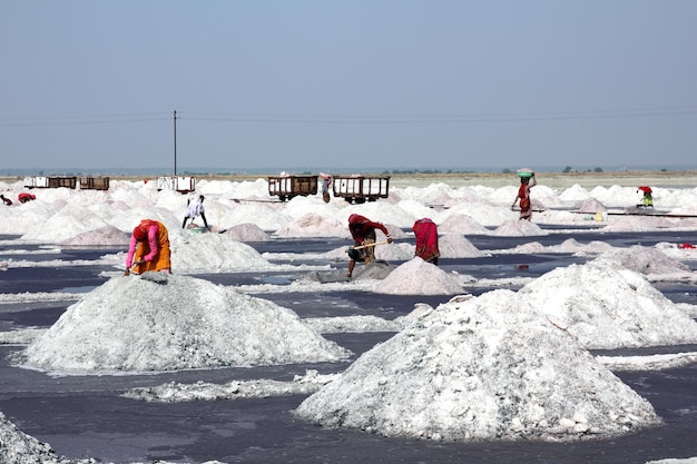 Wydobycie soli w Indiach