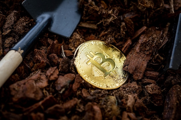 Wydobycie Złotej Koncepcji Inwestycji I Odsetek Bitcoin