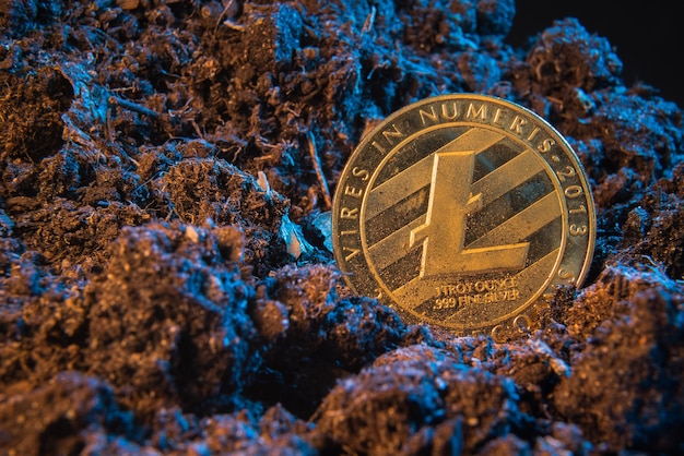 Wydobywanie kryptowalut - Litecoin, monety pieniężne online w ziemi.