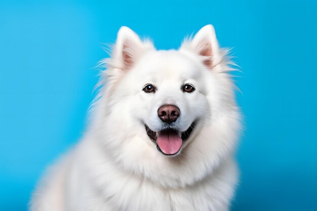 Wygenerowano ai słodkiego samoyeda na niebieskim tle sieci neuronowej