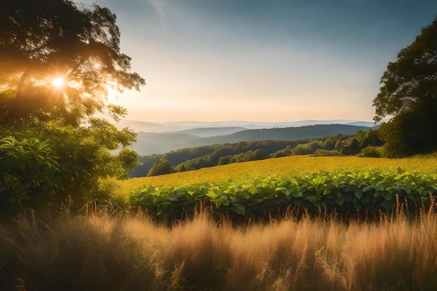 Wygląd naturalny