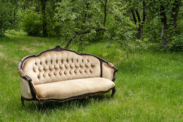 Wygodna Sofa W Stylu Vintage Do Domu Na Zielonej Trawie