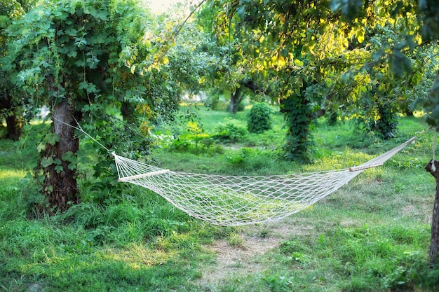 Zdjęcie wygodny hamak wiszący w jesiennym ogrodzie. przytulne miejsce hygge na weekendowy relaks w ogrodzie?