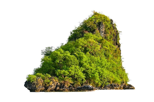 Wyizoluj wyspę pośrodku zielonego morza, białe tło oddzielone od tła