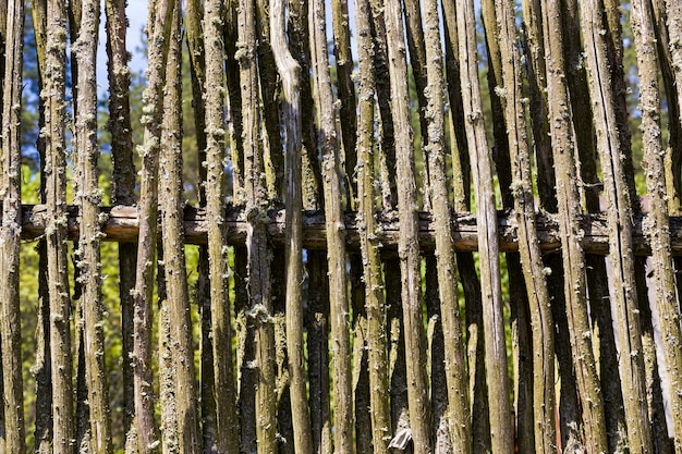 Zdjęcie wykonane z gałązek ogrodzenie na wsi, tradycja rustykalna
