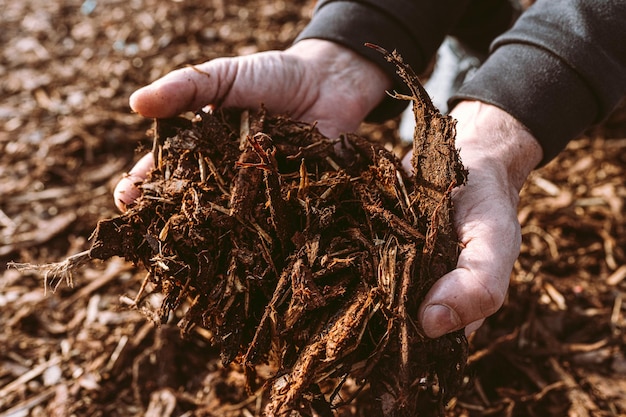 Wykorzystanie przetworzonych odpadów organicznych