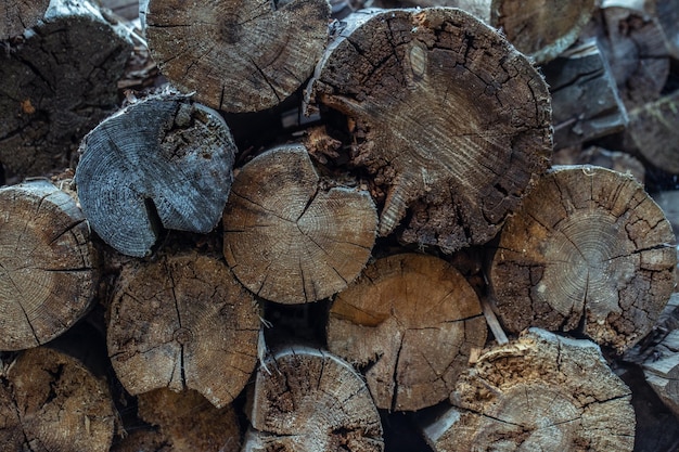 Wylesianie popadło drzewo Struktura drewna lub tło drewna