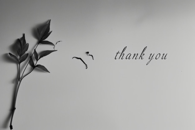 Wyrażenie wdzięczności z serdecznym napisem "Dziękuję"