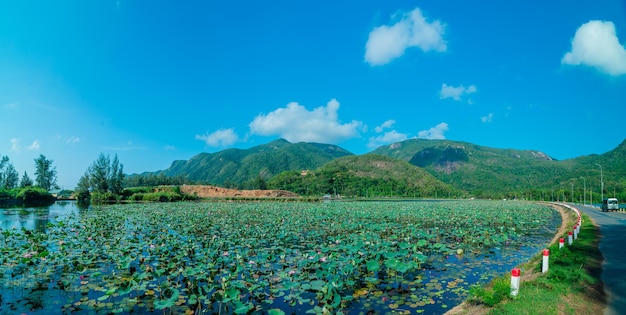 Wyraźny widok z jeziorem An Hai i górą w Con Dao Naturalny kolor Crystal Blue lake