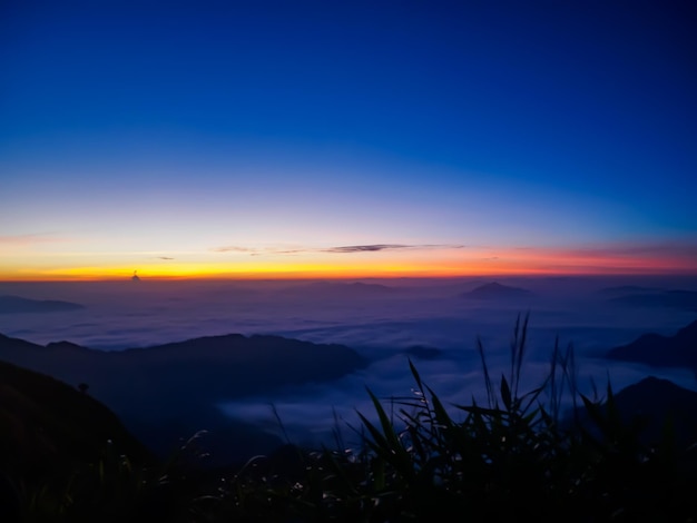Wysoka góra rano w Phu Chi Fa w Chiang Rai Tajlandia