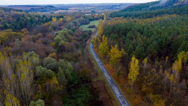 Zdjęcie wysoki kąt widoku drogi pośród drzew w lesie