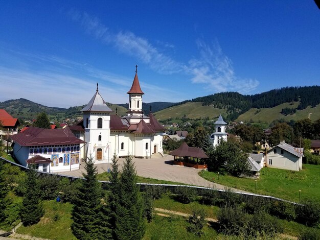 Zdjęcie wysoki kąt widoku drzew i domów na tle nieba