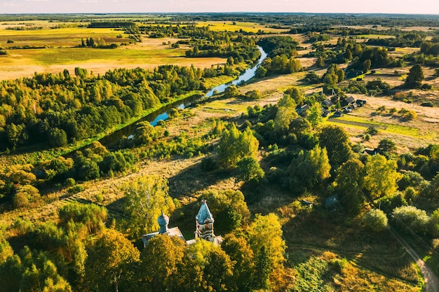 Zdjęcie wysoki kąt widoku drzew na polu