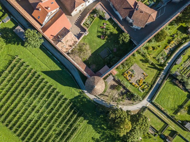 Zdjęcie wysoki kąt widoku drzew na polu