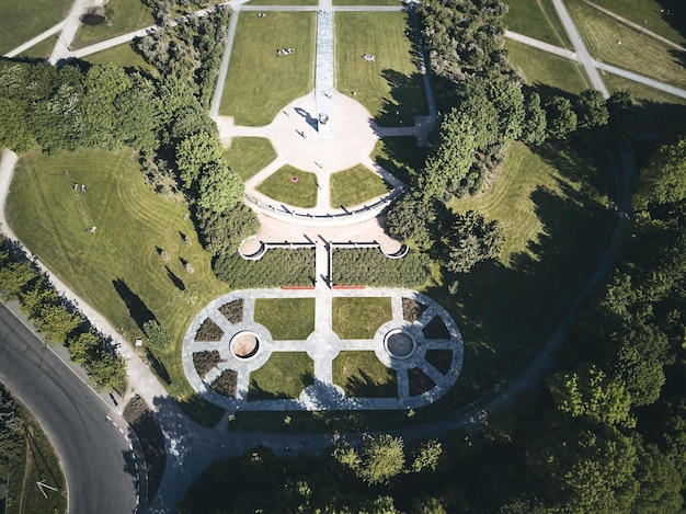 Wysoki kąt widoku drzew rosnących w parku