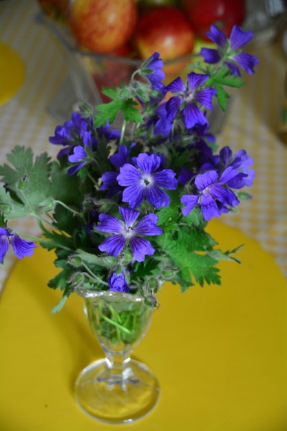 Zdjęcie wysoki kąt widoku fioletowych kwiatów w wazonie na stole.