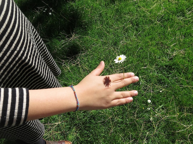 Zdjęcie wysoki kąt widoku kobiety trzymającej kwiat na trawiastym polu