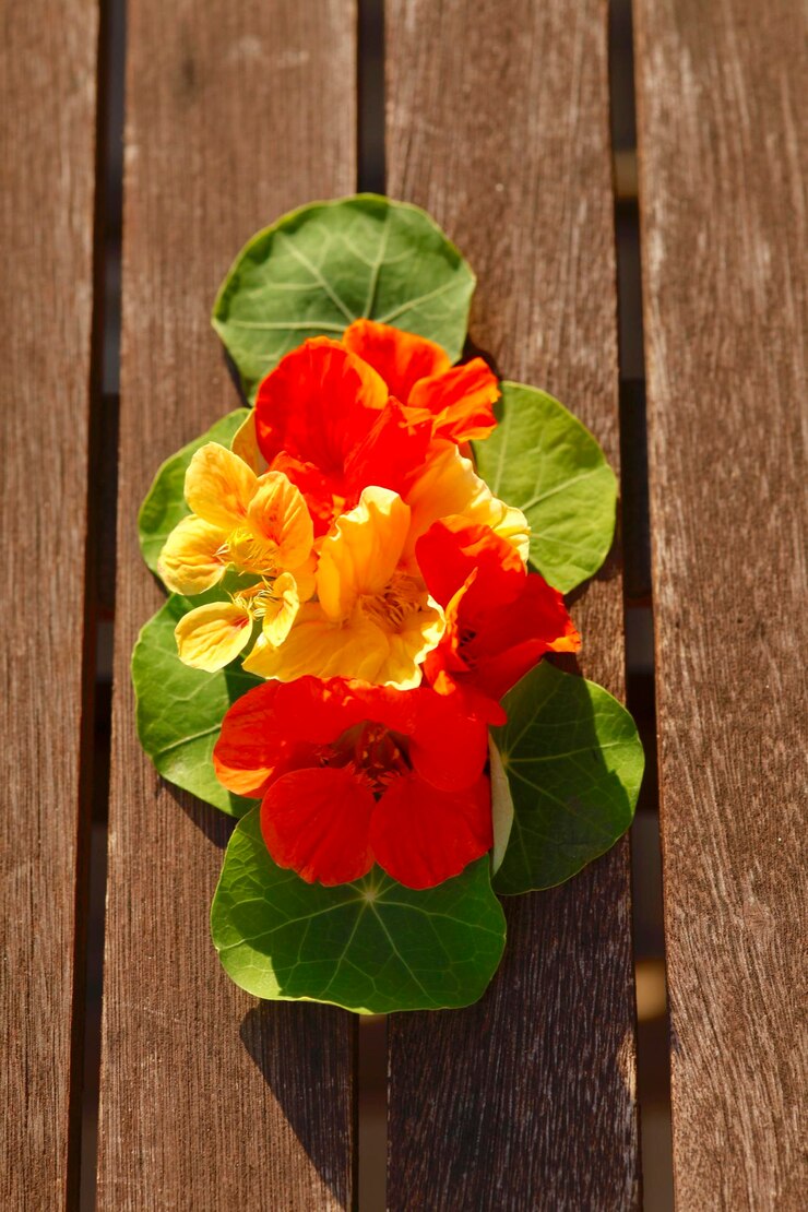 Zdjęcie wysoki kąt widoku kwiatu hibiskusa
