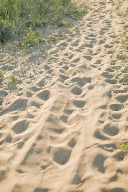 Zdjęcie wysoki kąt widoku piaszczystej plaży