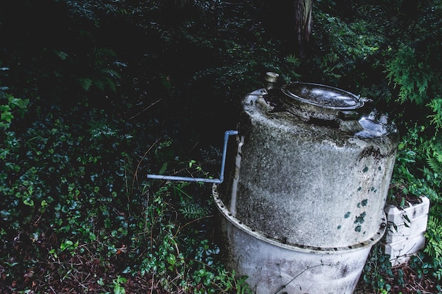 Zdjęcie wysoki kąt widoku pojemnika w lesie