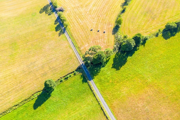 Wysoki kąt widoku pola rolniczego