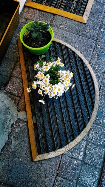 Zdjęcie wysoki kąt widoku rośliny w garnku na grillu